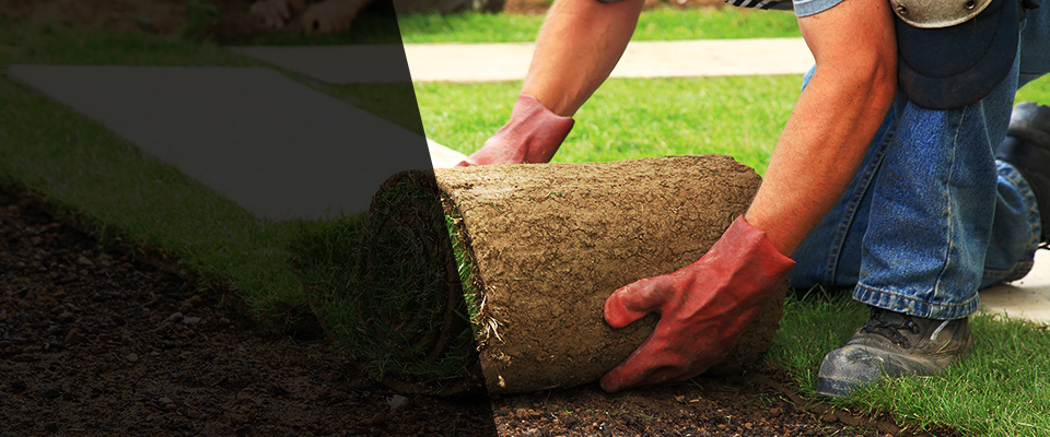 East Meadow Landscapers